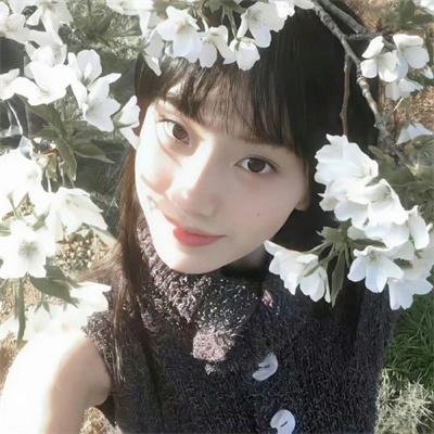 四个好日子海报
