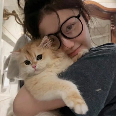 最后的夫人海报